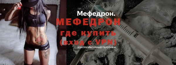 гидра Вяземский