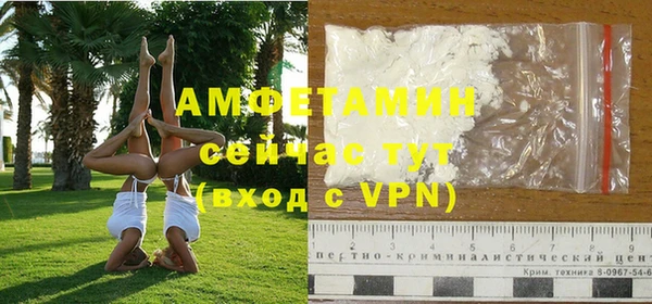гидра Вяземский