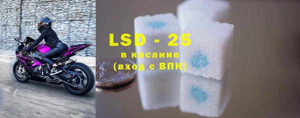 гидра Вяземский