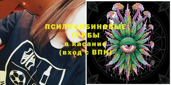 гидра Вяземский