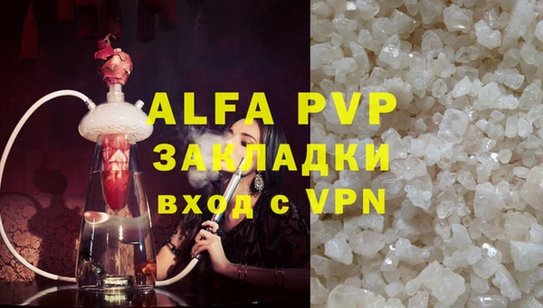 гидра Вяземский