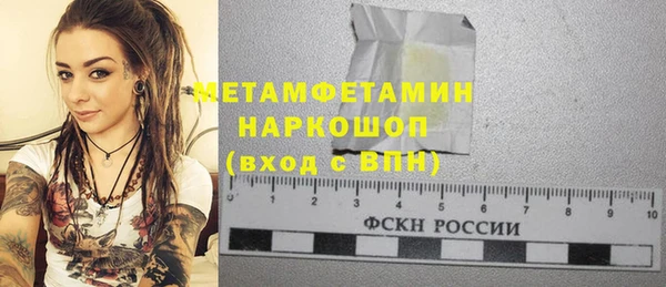 гидра Вяземский