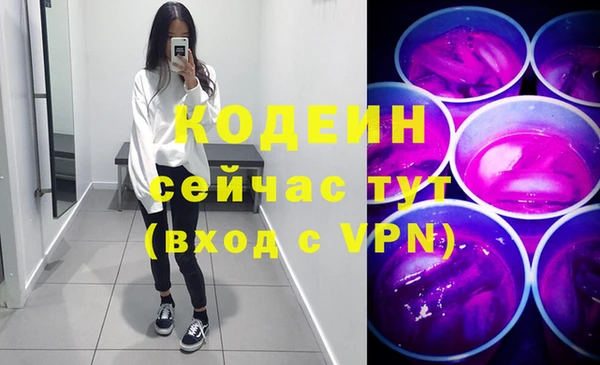 гидра Вяземский