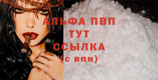 гидра Вяземский